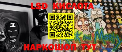 индика Камышлов
