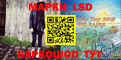 индика Камышлов