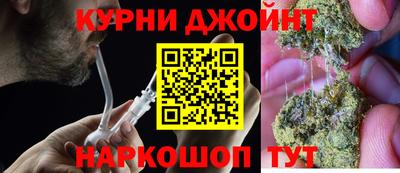 индика Камышлов