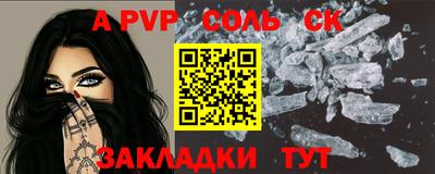 индика Камышлов