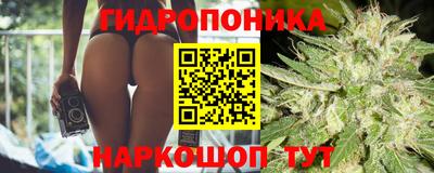 индика Камышлов