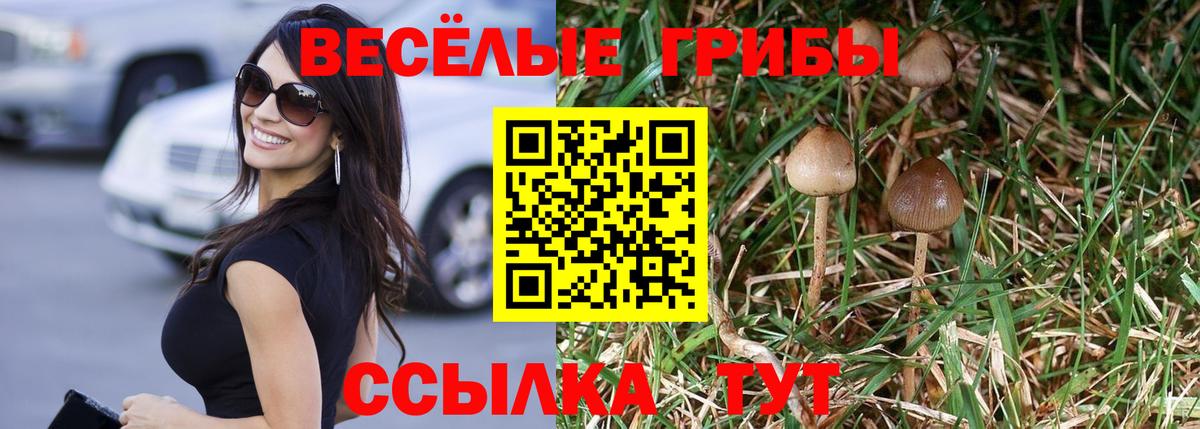 Галлюциногенные грибы Cubensis Корсаков